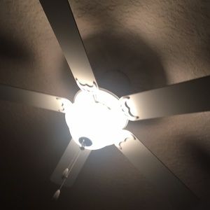 Meet your Posher, Will